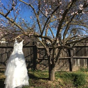 NWT Azazie Larissa Sample Wedding Dress
